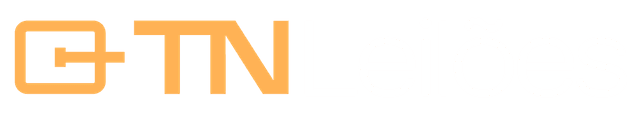 TN Leilões